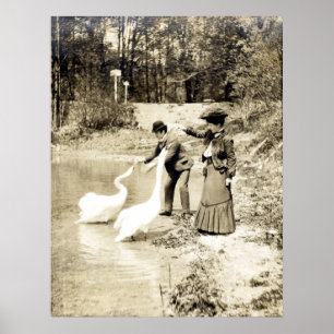 19. C. Schwäne in Paris Poster