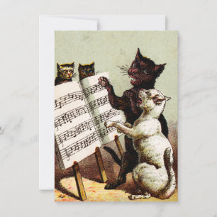 19. C. singende Katzen