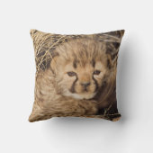 19 Days old Cub. Namibia Kissen (Rückseite)