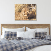 19 Days old Cub. Namibia Leinwanddruck (Insitu (Schlafzimmer))