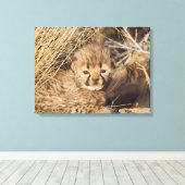 19 Days old Cub. Namibia Leinwanddruck (Insitu (Holzboden))