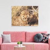 19 Days old Cub. Namibia Leinwanddruck (Insitu (Wohnzimmer))