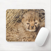 19 Days old Cub. Namibia Mousepad (Mit Mouse)