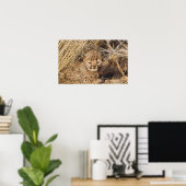 19 Days old Cub. Namibia Poster (Heimbüro)