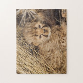 19 Days old Cub. Namibia Puzzle (Vertikal)
