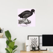 19. Jahrhundert war Herhuhn oder Morgendruck Poster (Heimbüro)