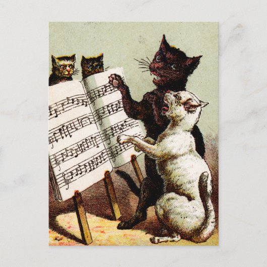 19. Jh. singende Katzen Postkarte (Vorderseite)
