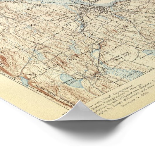 19 Mittlerblatt Poster (Ecke)