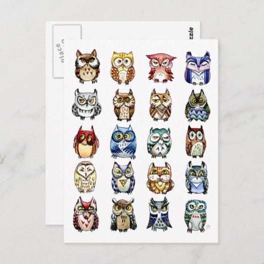 19 und 1 Katzen und Hülsen Postkarte (Vorne/Hinten)