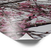 19"x13" Cherry Blossom Buds Fotodruck (Ecke)