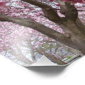 19"x13" Große rosa Magnolia Fotodruck (Ecke)