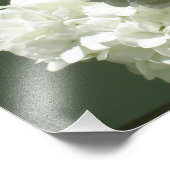 19"x13" Hydrangeas Fotodruck (Ecke)