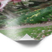 19"x13" Rosa Magnolienbäume Fotodruck (Ecke)