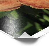 19"x13" Taglilien Fotodruck (Ecke)