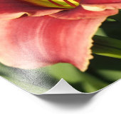 19"x13" Taglilien Fotodruck (Ecke)