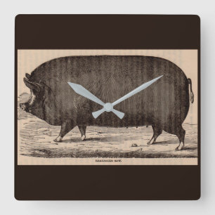 19th century farm animal print Berkshire sow no. 2 Quadratische Wanduhr