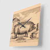 19th century pig print ‘Breeder in Good Flesh’ Quadratische Wanduhr (Winkel)