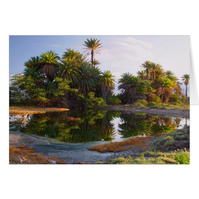 1.000.000 Jahre v. Chr. (Vorderseite (Horizontal))