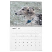 1 2016 seidenes Windhounds durch Kalender (Jan 2027)
