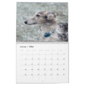 1 2016 seidenes Windhounds durch Kalender (Jan 2026)