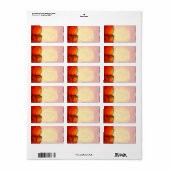 1.25"x2.75" Postadresse African Safari Giraffe Adressaufkleber (Vorne)