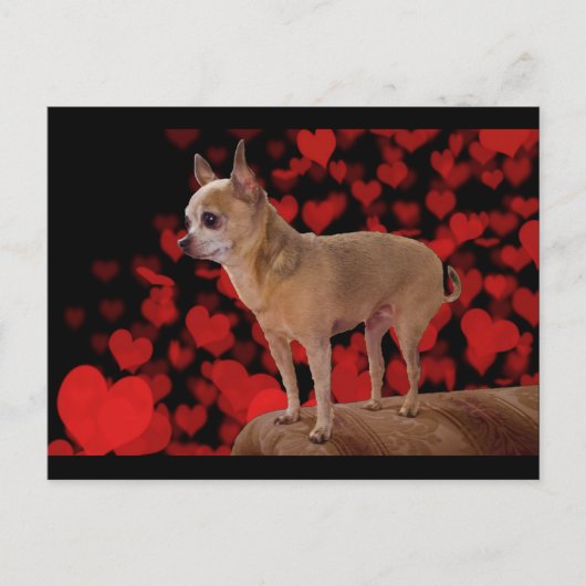 1,5 kg reine Liebe Postkarte (Vorderseite)