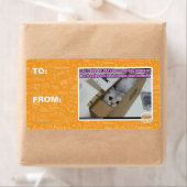 1-800-LOLCATS anrufen (Insitu)