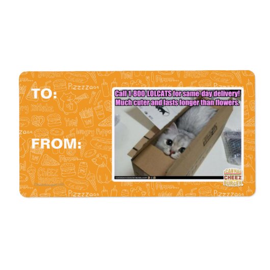 1-800-LOLCATS anrufen (Vorne)