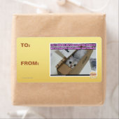 1-800-LOLCATS anrufen (Insitu)