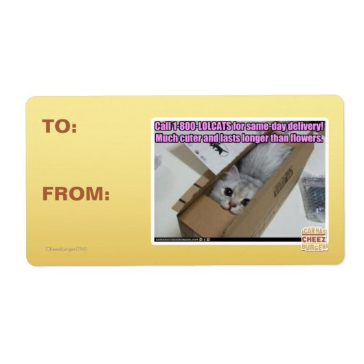 1-800-LOLCATS anrufen (Vorne)