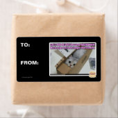 1-800-LOLCATS anrufen (Insitu)