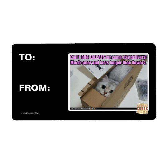 1-800-LOLCATS anrufen (Vorne)