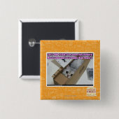 1-800-LOLCATS anrufen Button (Vorne & Hinten)