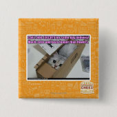 1-800-LOLCATS anrufen Button (Vorderseite)
