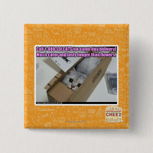 1-800-LOLCATS anrufen Button