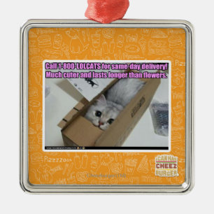 1-800-LOLCATS anrufen Silbernes Ornament