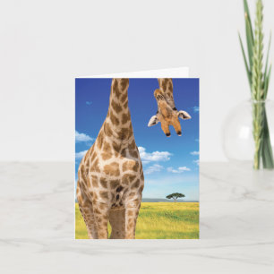 1 Adorable Birthday Card - Upside-Down Giraffe Karte