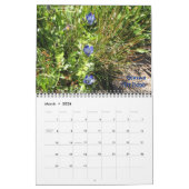 1, Alpine Wildblumen Ziegengestein, Berg Hood und Kalender (Mär 2026)