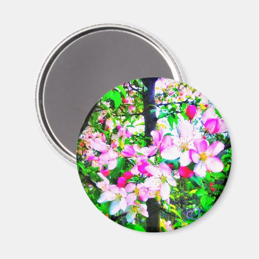1 APPLE BLOSSOMS MAGNET (Vorderseite/Rückseite)
