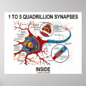 1 bis 5 Quadrillionen Synapsen Inside Neuron Synap Poster (Vorne)