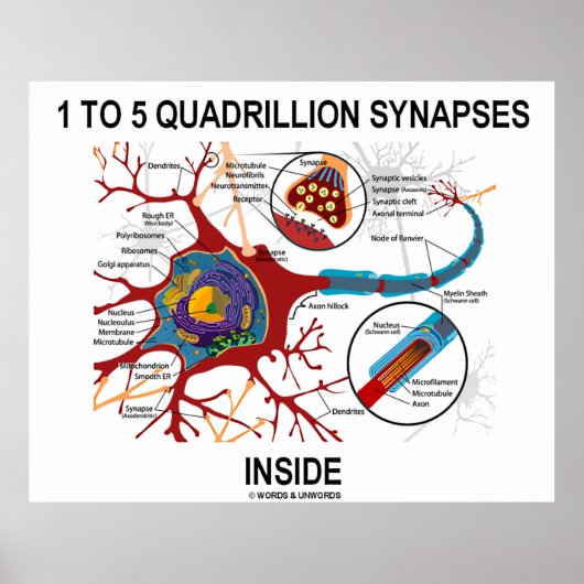 1 bis 5 Quadrillionen Synapsen Inside Neuron Synap Poster (Vorne)