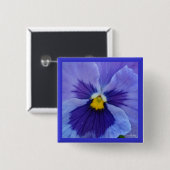 1 blauer SchönheitPansy Button (Vorne & Hinten)