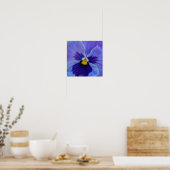 1 Blue Beauty Pansy Poster (Küche)