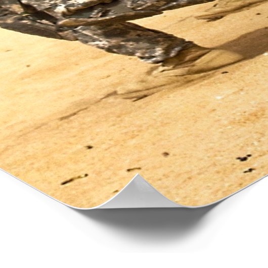 1. CAV POSTER (Ecke)