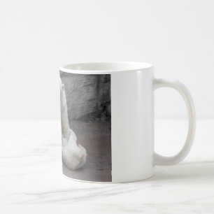 1) Eisbärenjungen Kaffeetasse