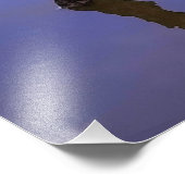 #1-Etang von Scamander in Camargue. Fotodruck (Ecke)