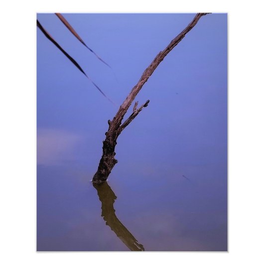 #1-Etang von Scamander in Camargue. Fotodruck (Vorne)