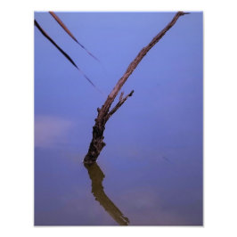 #1-Etang von Scamander in Camargue. Fotodruck