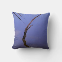 #1-Etang von Scamander in Camargue. Kissen