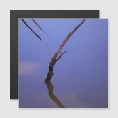 #1-Etang von Scamander in Camargue. Magnet (Vorne/Hinten)